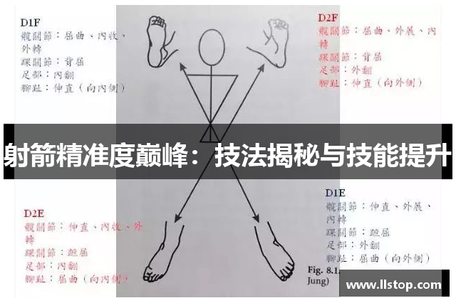 射箭精准度巅峰：技法揭秘与技能提升