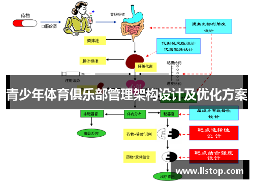 青少年体育俱乐部管理架构设计及优化方案